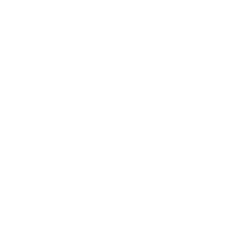 Photographe professionnel en action avec équipement spécialisé – services de photographie au Québec