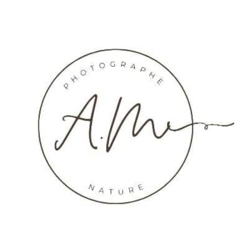 Photographe professionnel tenant une caméra en gros plan – équipement de qualité à Saint-Jérôme